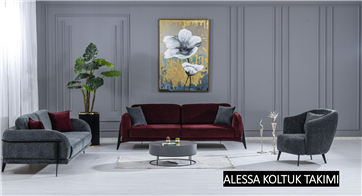 ALESSA Koltuk-Takımı-74